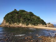 poporon̖Y̓E̓eʐ^5