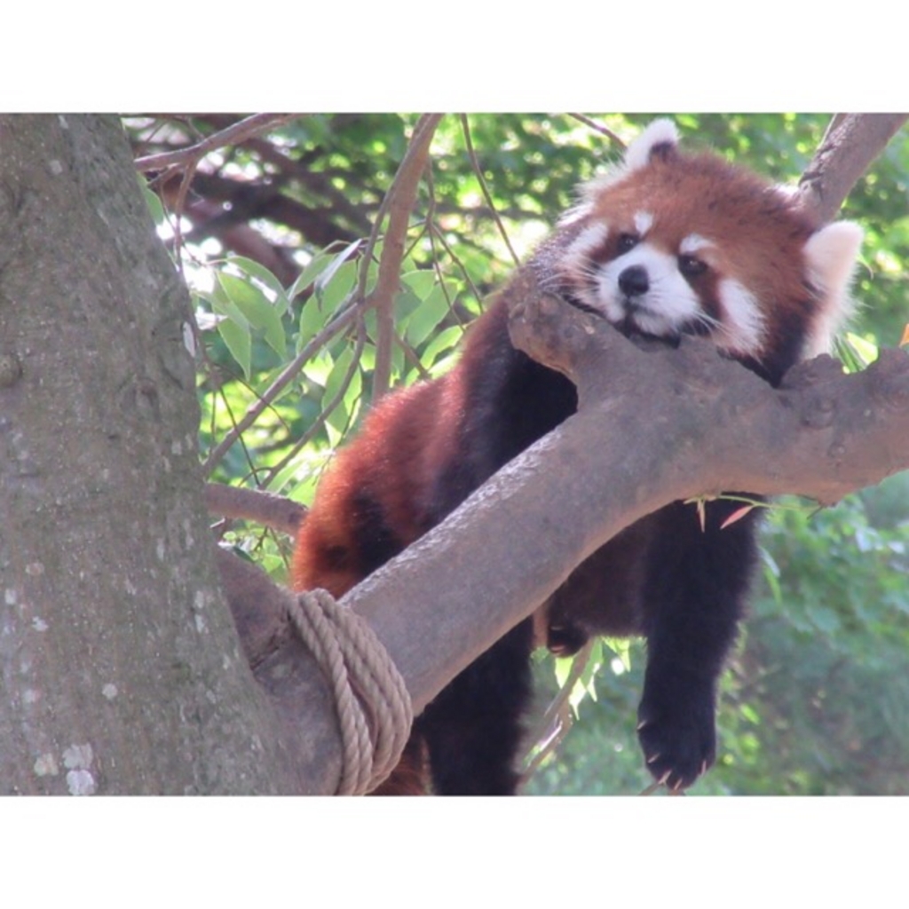 八木山動物公園駅周辺の観光スポットランキングtop10 じゃらんnet