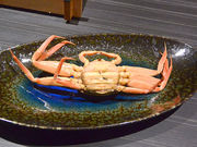 CJ񂳂̉zO h ̓eʐ^3