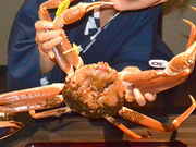 CJ񂳂̉zO h ̓eʐ^4