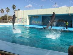 Ȃ̓mr[`h&mቤւ̓eʐ^1