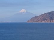 Ӂ[݂񂳂̓y쉷̓eʐ^1