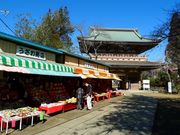 �g�N�T������̓������i�@��쓰�j�̓��e�ʐ^1