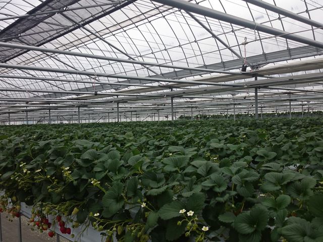 \傫ȃrj[nEXłB_ٌEc