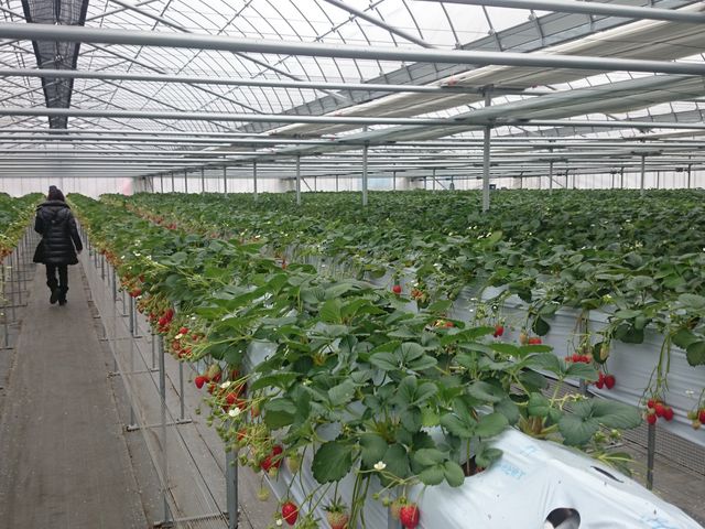 ̎܂ŁAX̕ēĂ܂B_ٌEc