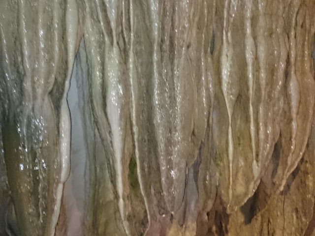 ������_����