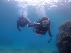 ���Ȃ���̃_�C�r���O�T�[�r�X������E�Ղ܂�ǂ��ւ̓��e�ʐ^1