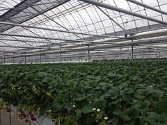 ꂨ񂳂ٌ̂Ecւ̓eʐ^2