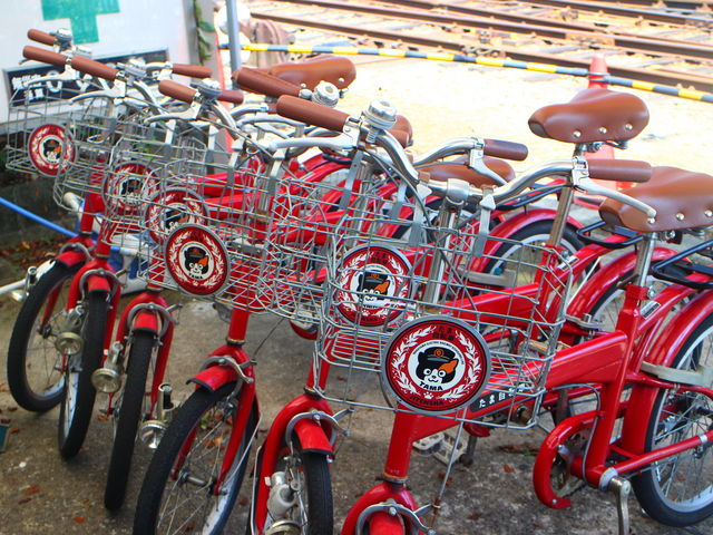 �����^�T�C�N���Ŋό�_�ɑ��F�]�w