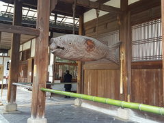 marimarỉ@Rݕւ̓eʐ^1