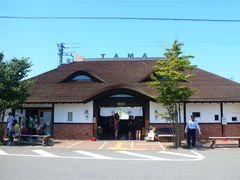 [̋Muwi܃~[WA jւ̓eʐ^1