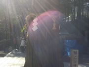 ܂肳̐ΒȐ_Ђ̓eʐ^1