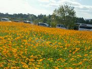 saaa̕ɐ͐~Βn̓eʐ^1