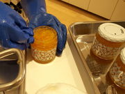 marimarĩAn^WfbL̓eʐ^2