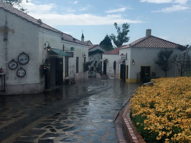 ������ǂ̉ƂƁA�Ђ܂�蔨�ł��I_�u���X�y�C�����p���P�G�X�p�[�j��