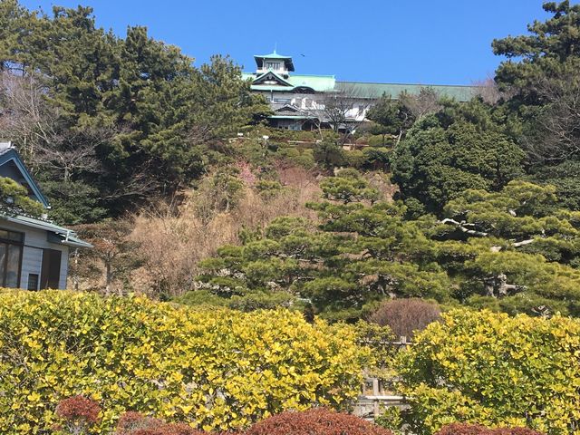 ���S�N���V�b�N�z�e��_���S�N���V�b�N�z�e��