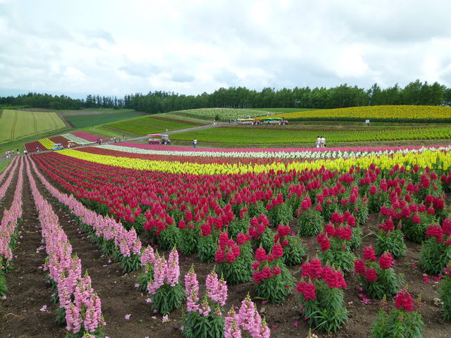 �l�G�ʂ̋u_�l�G�ʂ̋u