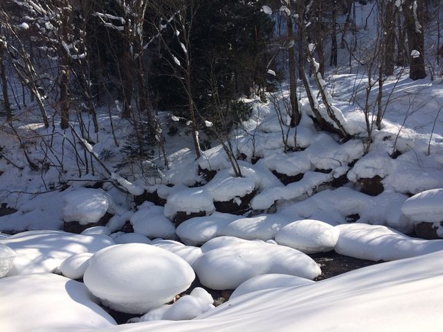 途中の橋から見た河原、雪のマッシュルーム?_奥鬼怒温泉郷