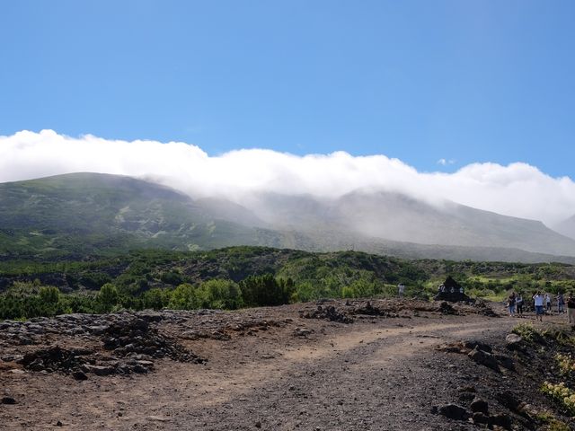 �\���x�W�]�䂩��_�\���x�]�x��