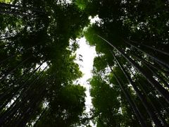 ܂邳̒|т̓ւ̓eʐ^1