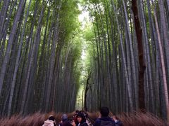 ܂邳̒|т̓ւ̓eʐ^2