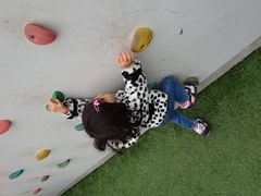 ۂ񂽂̃CI[튊ւ̓eʐ^1