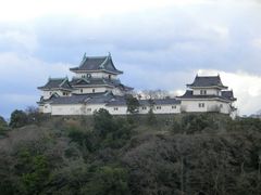 Ｍｉｊｕｎさんの和歌山城の投稿写真1