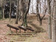 ͂TTQT̎s̐Xӂ܌̓eʐ^3