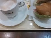 ܂̃hg[R[q[Vbv  aJ_1ړX̓eʐ^1