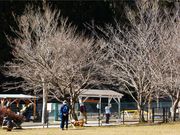 ܂5525̊񎵂hbO̓eʐ^1