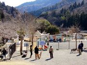 ܂5525̊񎵂hbO̓eʐ^3