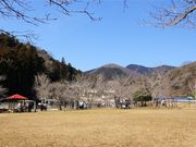 ܂5525̊񎵂hbO̓eʐ^5