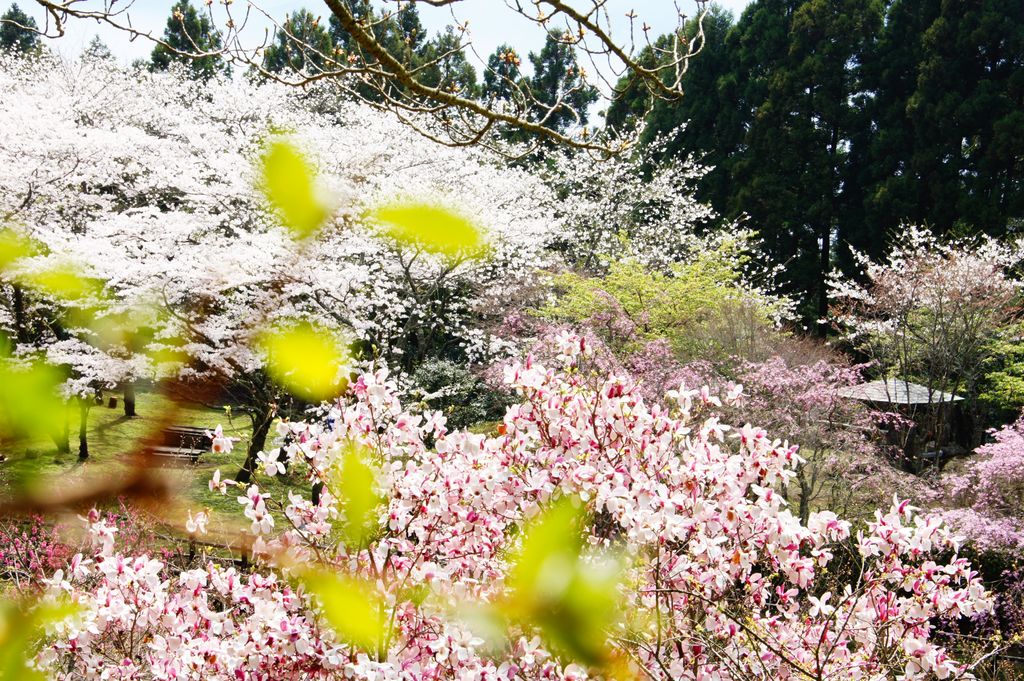 最明寺史跡公園 アクセス 営業時間 料金情報 じゃらんnet