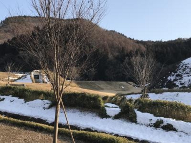 �Õ�_�厺�Õ��Q