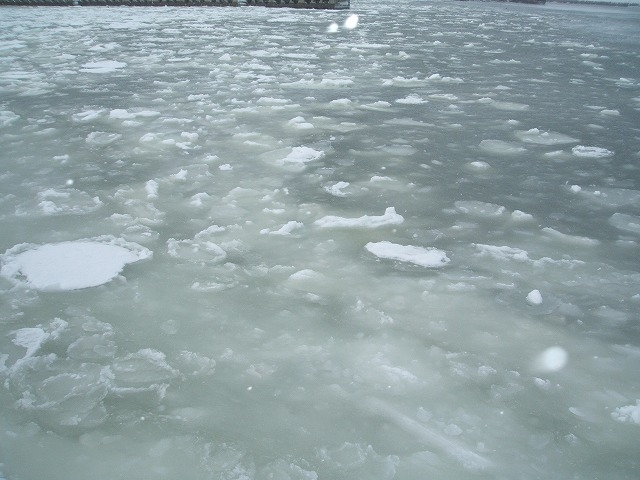 ���X_�I�z�[�c�N�C�̗��X