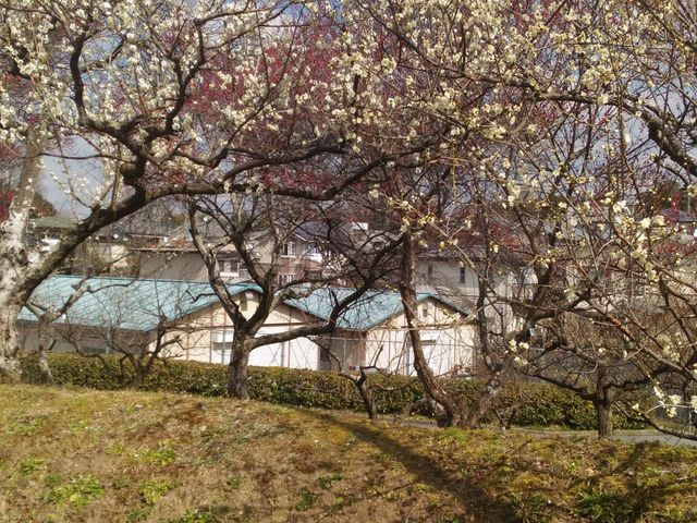 ������c���R�������R����