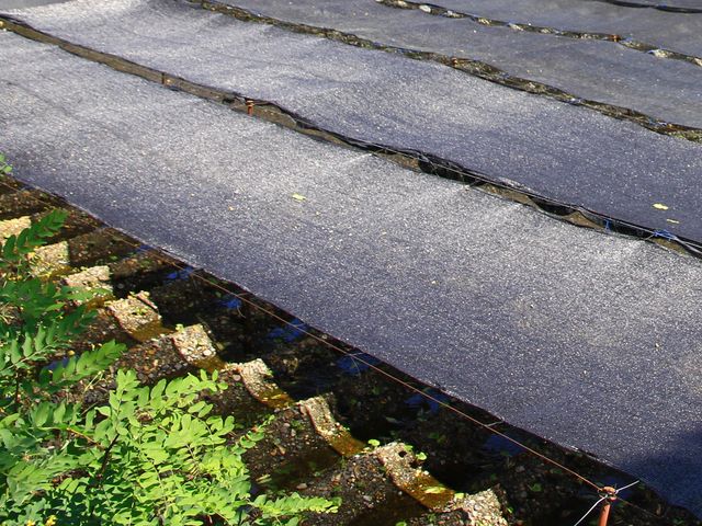 �킳��_�剤�킳�є_�� ��P���X