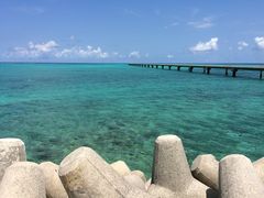 ܂΂̈ɗǕEnւ̓eʐ^1