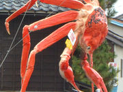 CJ񂳂̉zOEI̖V̓eʐ^1