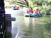 ݂̑剤킳є_̓eʐ^1