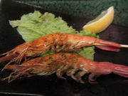 ^kN̓S Dݏ  {X̓eʐ^1