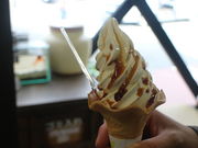 [̑啧v{ 厛OЂΓX̓eʐ^2