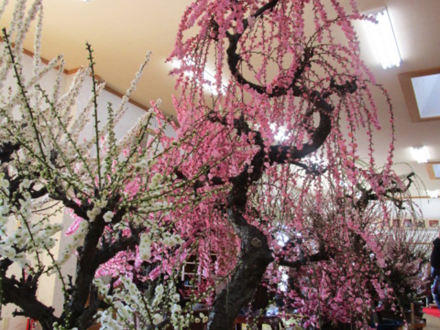 �����Ȃ�����~_����~�~�сE����~�~�~