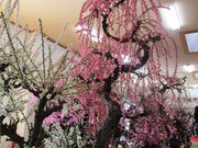 ݂[̌~~сE~~~̓eʐ^1