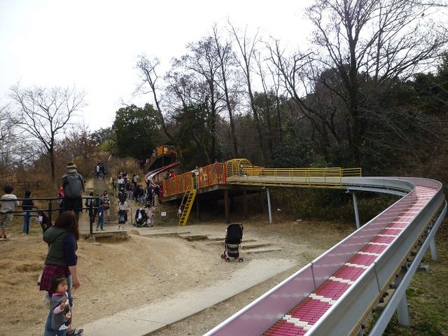 �l�C�V��̈�Ζʂ𗘗p�������������_�卂�Βn