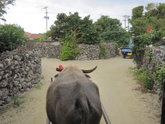 LiR\g̔dRόtF[ւ̓eʐ^1