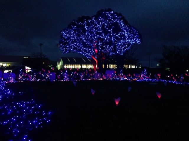 �C���~�l�[�V�����Y��_�}�U�[�q��