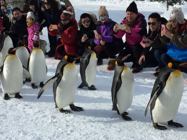 �y���M���̉��炵���p������܂�_���R������