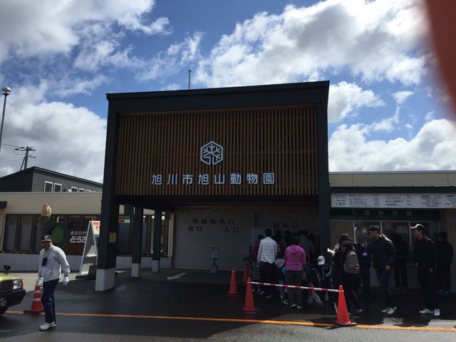 �J���O_���R������