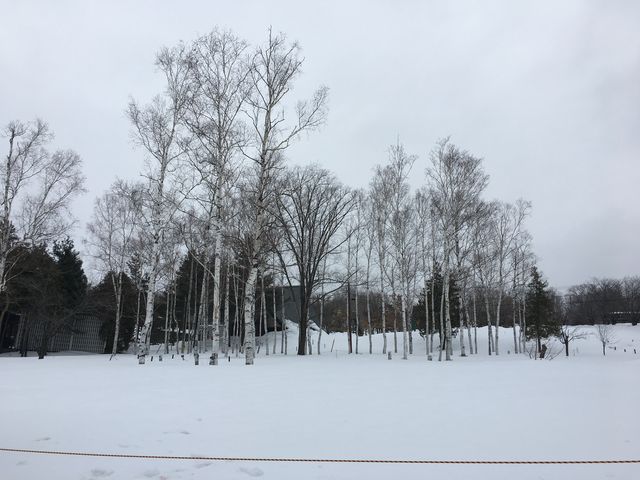 �����̐�i�F������������܂�_���R������